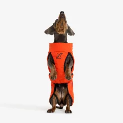 Cyclone Dog Jacket Hund