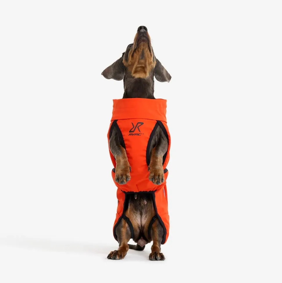Cyclone Dog Jacket Hund