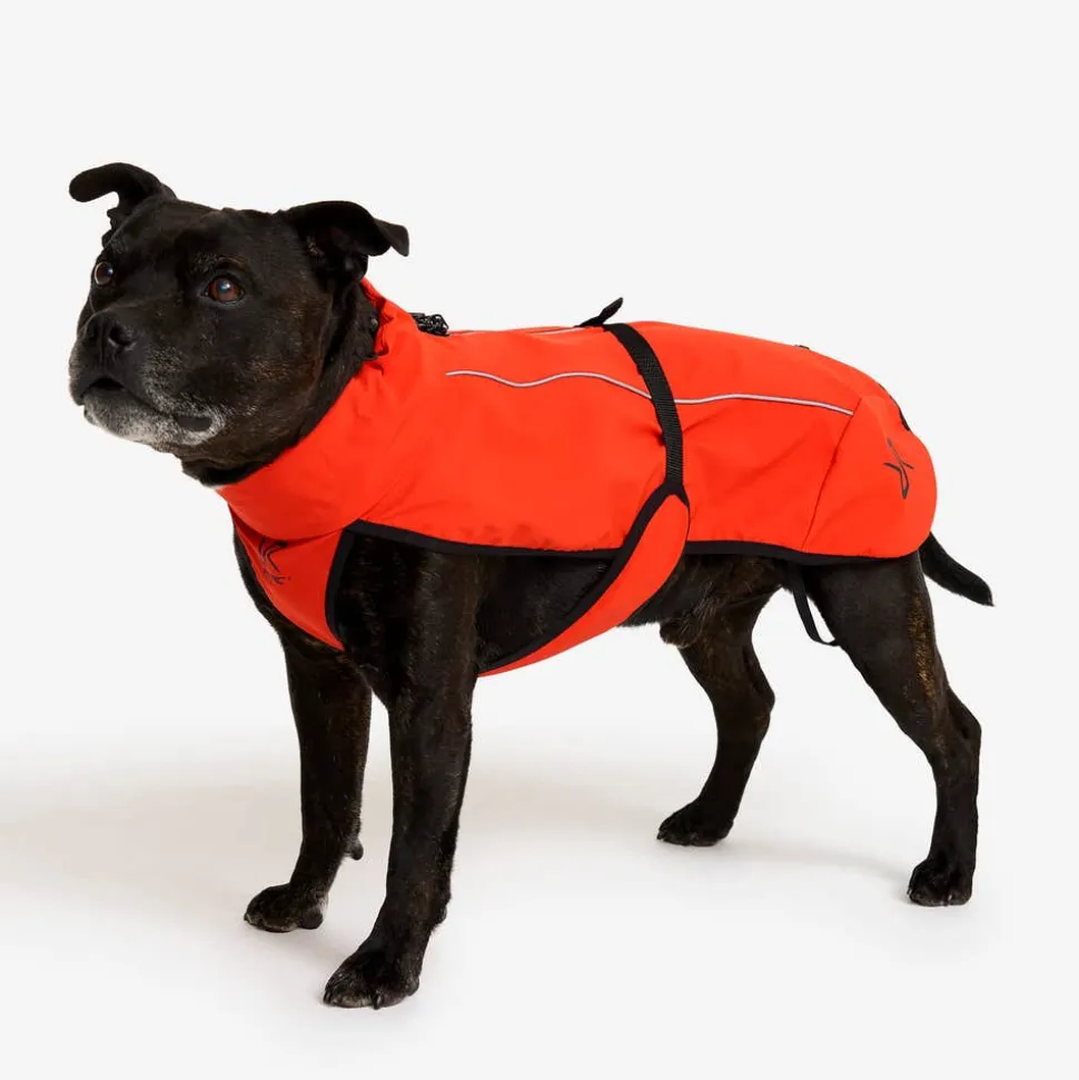 Cyclone Dog Jacket Hund