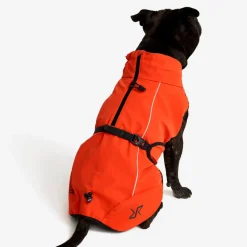 Cyclone Dog Jacket Hund