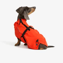 Cyclone Dog Jacket Hund