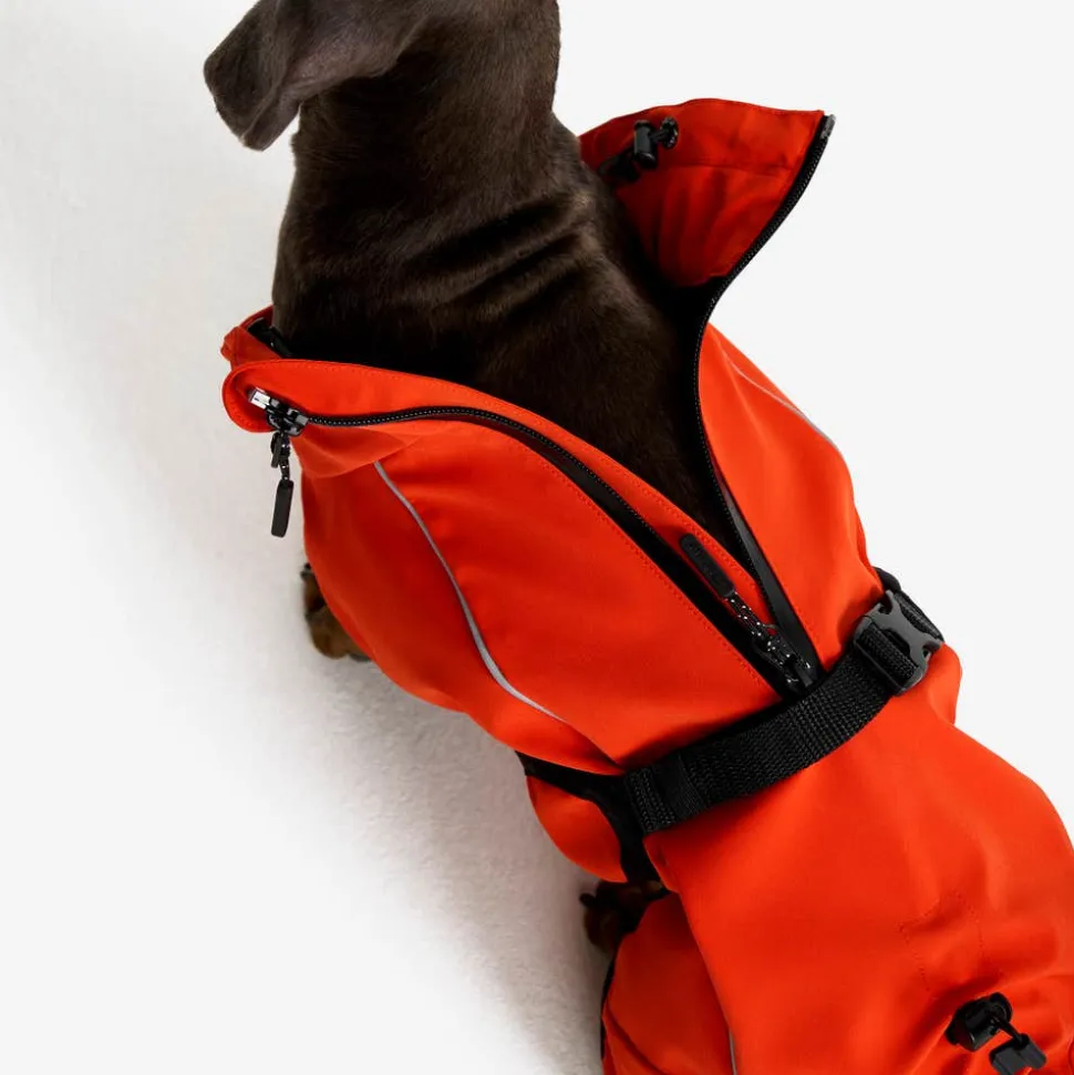 Cyclone Dog Jacket Hund