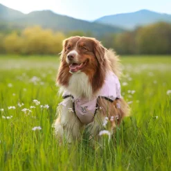 Cyclone Dog Jacket Hund