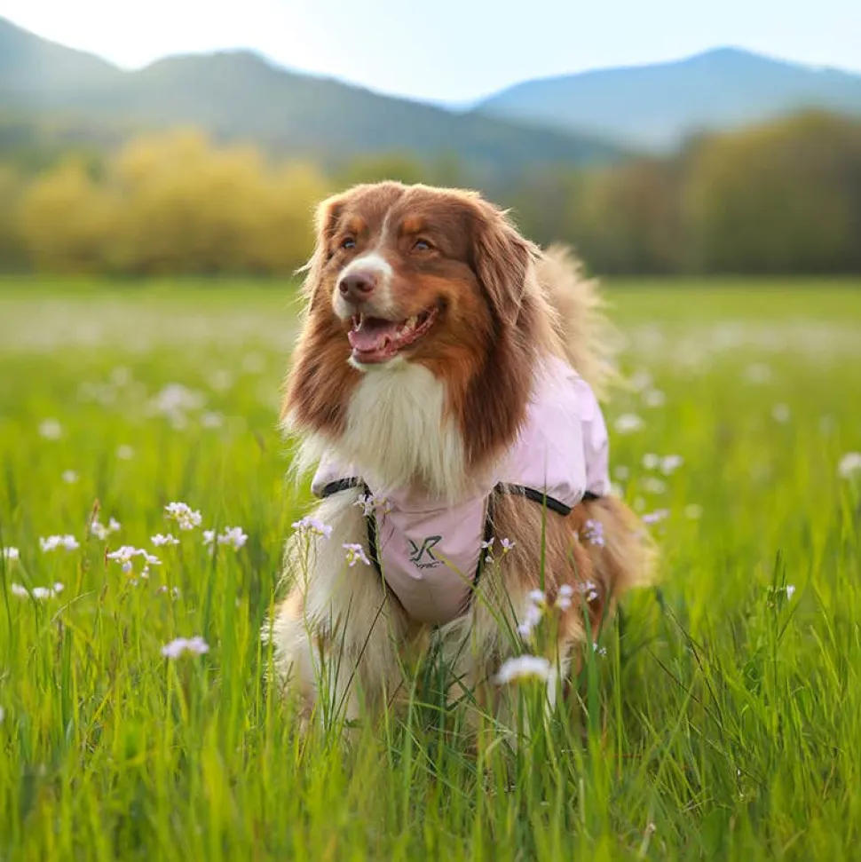 Cyclone Dog Jacket Hund