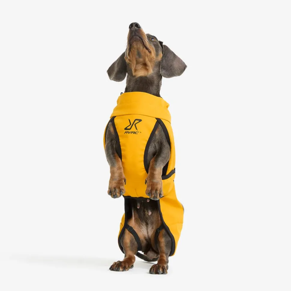 Cyclone Dog Jacket Hund