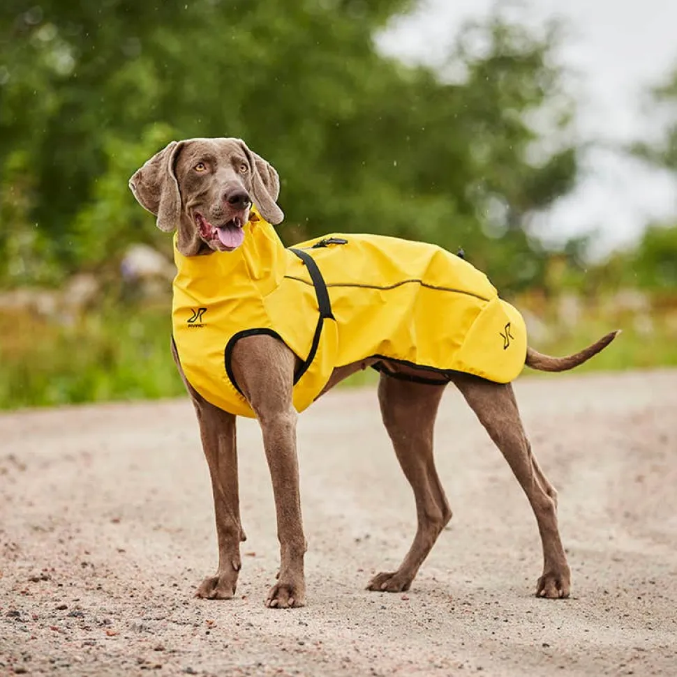 Cyclone Dog Jacket Hund