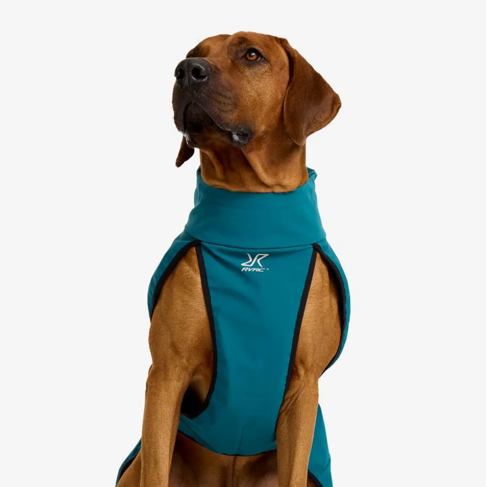 Cyclone Dog Jacket Hund