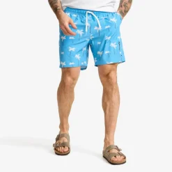 Summer Swim Shorts Herre