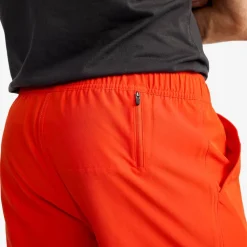 Summer Swim Shorts Herre