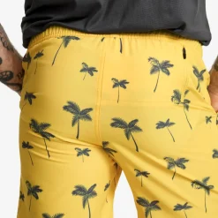 Summer Swim Shorts Herre