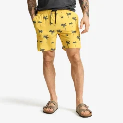 Summer Swim Shorts Herre